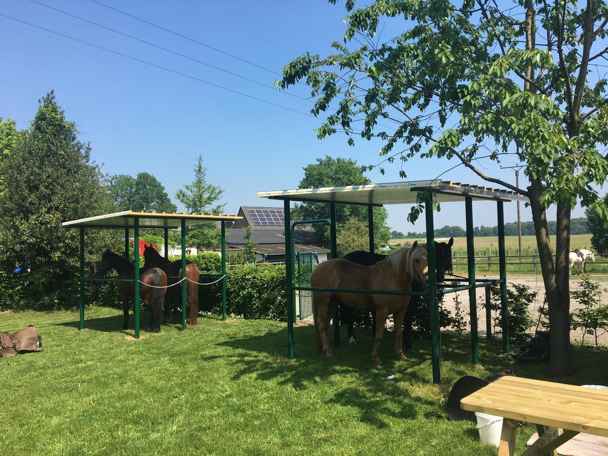 קרננבורג Das Gasthaus Am Reichswald מראה חיצוני תמונה
